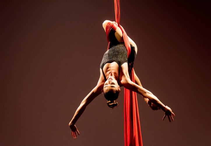 Expresión Circo Danza