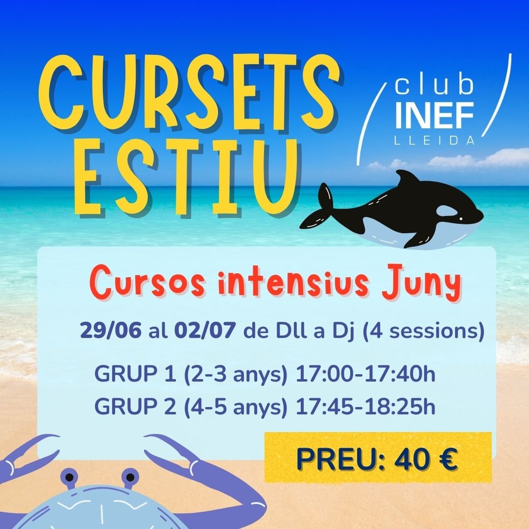 Cursos de verano